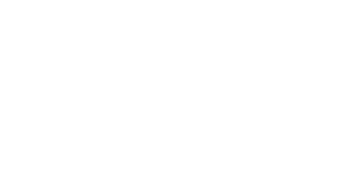 IndieFEST Award of Excellence Special Mention